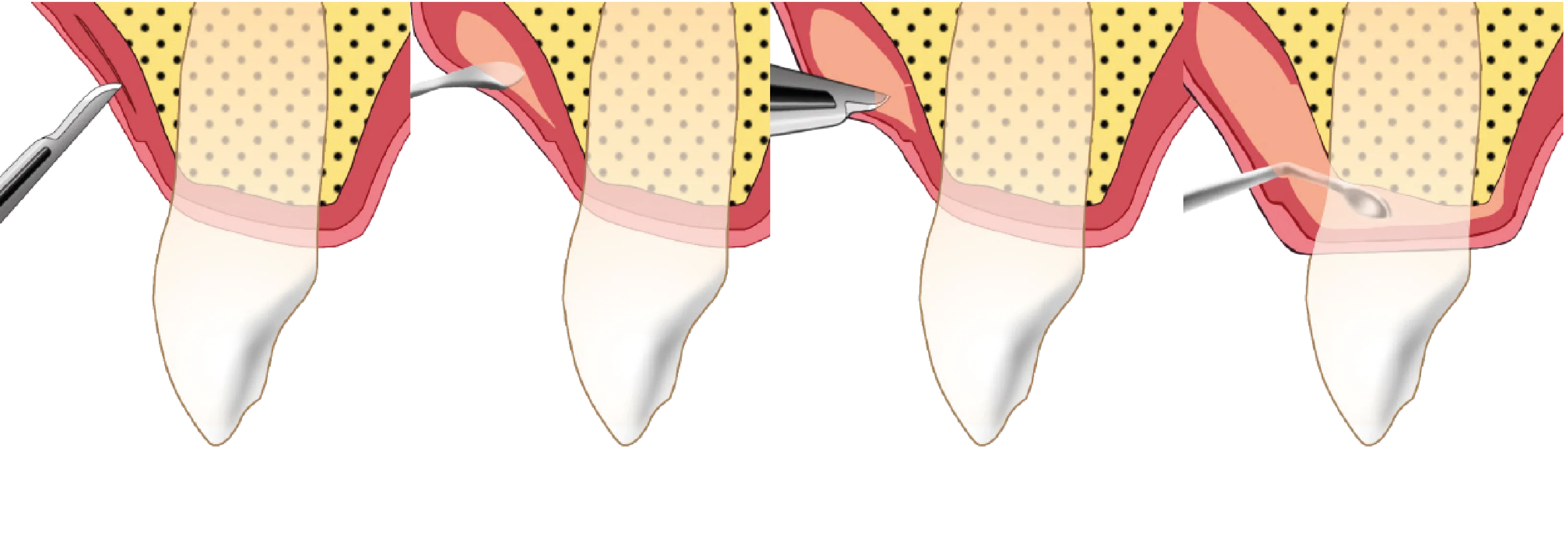 Dynamic Content Image