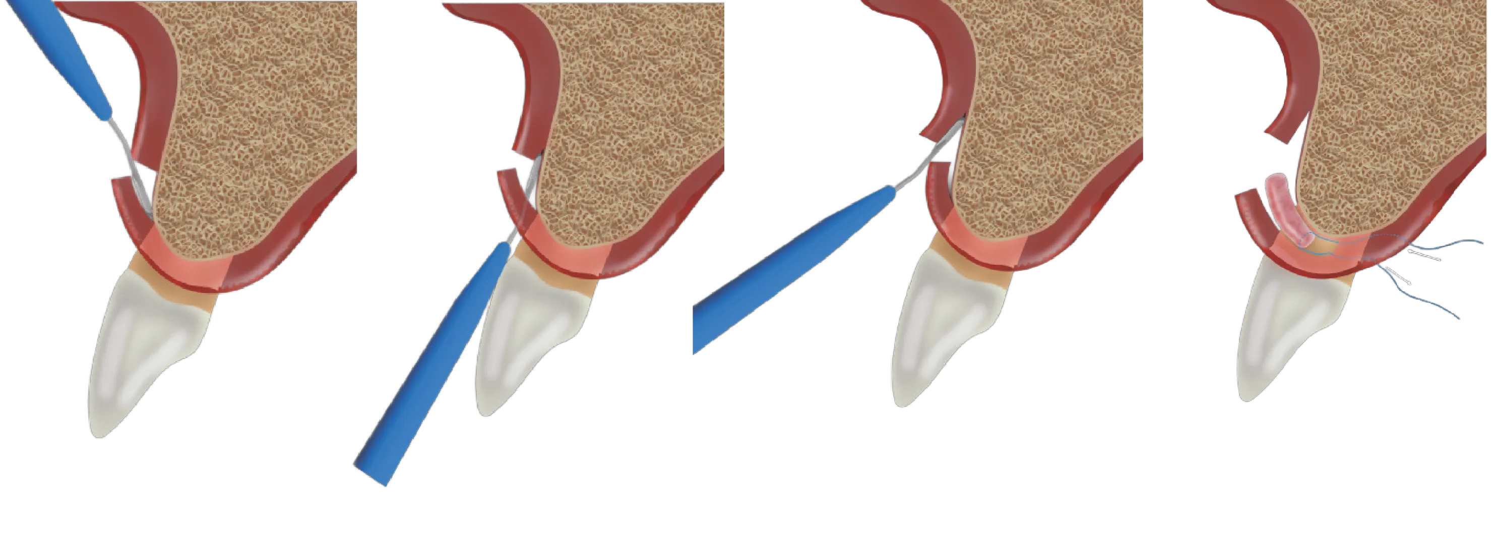 Dynamic Content Image